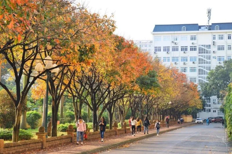 Top 10 Trường Đại học có khuôn viên đẹp nhất tại Hà Nội