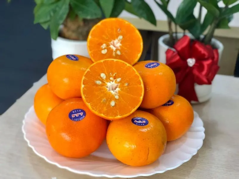 Top 5 Cửa hàng trái cây sạch và an toàn tại quận Hoàn Kiếm, Hà Nội