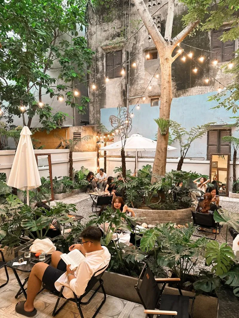 Top 7 Quán cafe để tận hưởng mùa thu đẹp nhất tại Hà Nội
