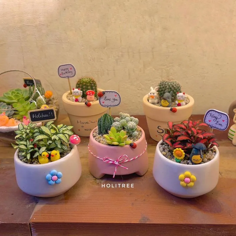 Top 8 Địa chỉ bán tiểu cảnh uy tín nhất Hà Nội