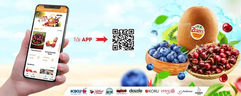 Top 9 Cửa hàng trái cây sạch và an toàn tại Hà Nội