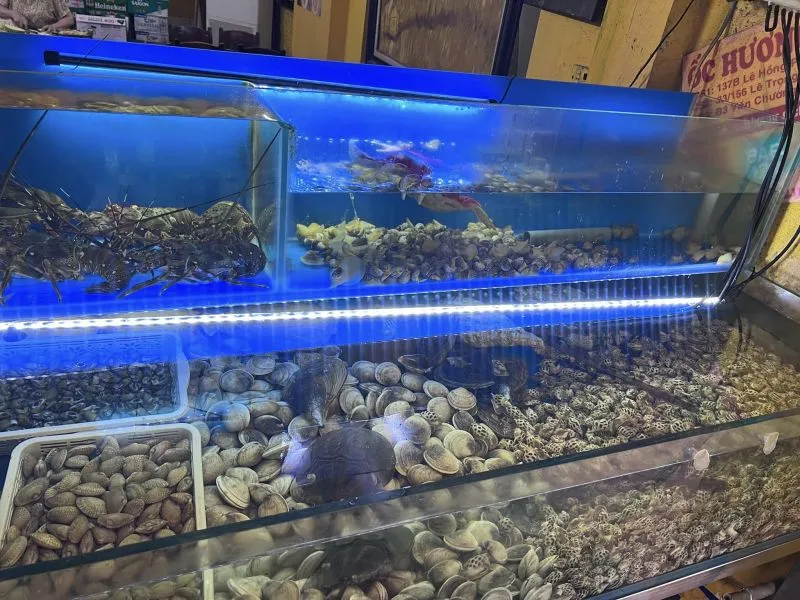 Top 9 Quán ăn vặt ngon nhất Quận Hà Đông, Hà Nội